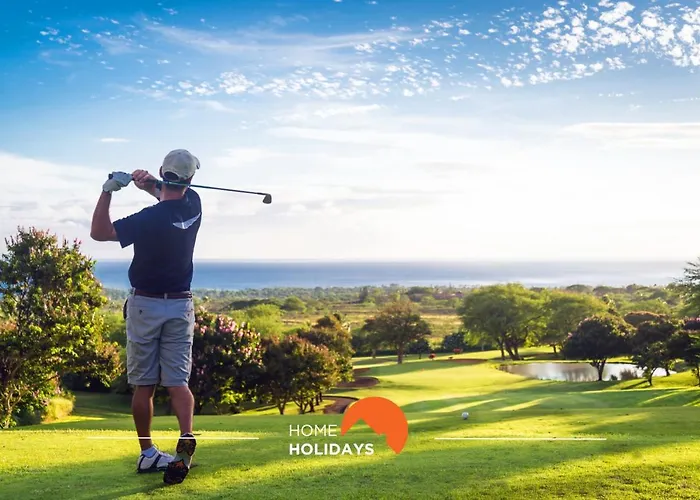 #052 V4 Mimosas By Holidays *